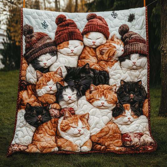 Warm Sleeping Cat Quilted Blanket ACTL024